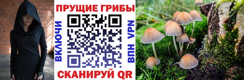 Псилоцибиновые грибы MAGIC MUSHROOMS  Шиханы 